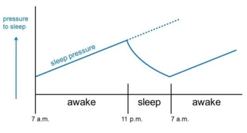 a sleep pressure graph